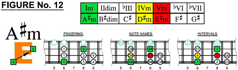 A#m box shapes and scale chords