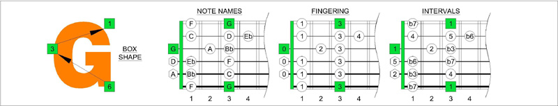 6Gm3Gm1 box shape at nut