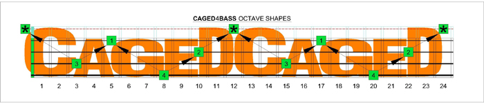 CAGED4BASS fingerboard