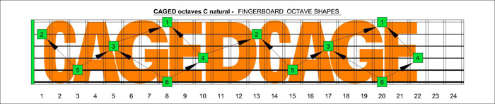 CAGED octaves C natural