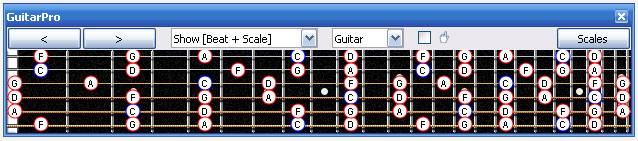 GuitarPro6 fingerboard