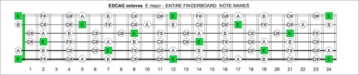 EDCAG octaves E major scale notes