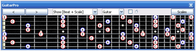 GuitarPro6 fingerboard