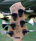 MTD headstock rear