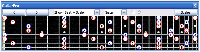 GuitarPro6 fingerboard