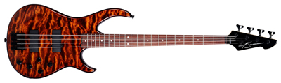 Peavey bass