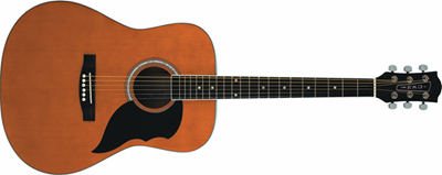 Eko acoustic