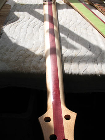 Back of purpleheart neck