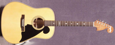 Martin D28 Travis