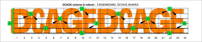 DCAGE octaves D natural notes over entire fingerboard