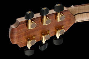 Lowden headstock