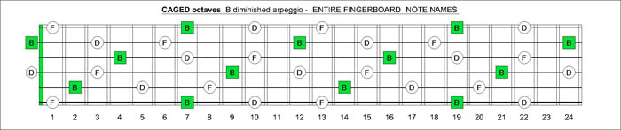 CAGED octaves B diminished arpeggio notes