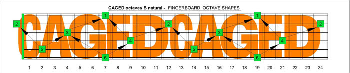 CAGED octaves B natural