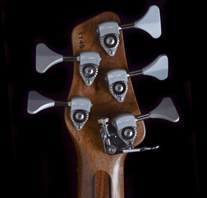 Rob allen MB-2 headstock rear