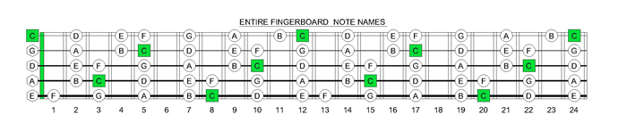 5 String Bass Fretboard Chart