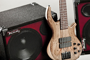 Vanderkley amp and Overwater Scott Divine bass