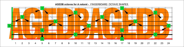 AGEDB octaves Drop E A natural octaves