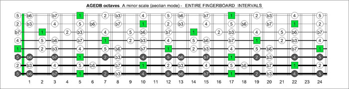 AGEDB octaves fretboard A minor scale intervals