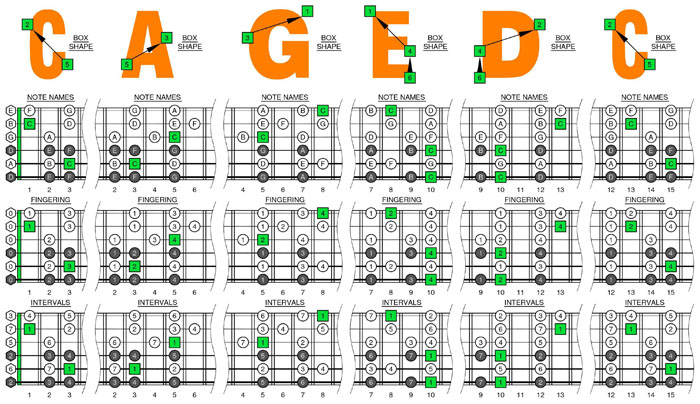 C major scale (drop D) box shapes