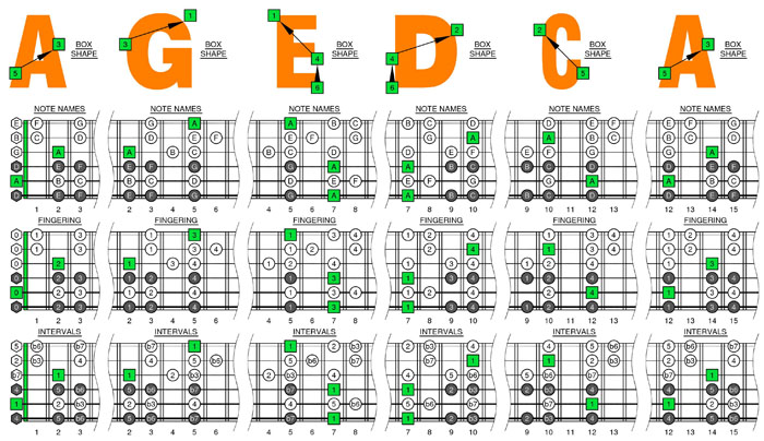 A minor scale drop D box shapes