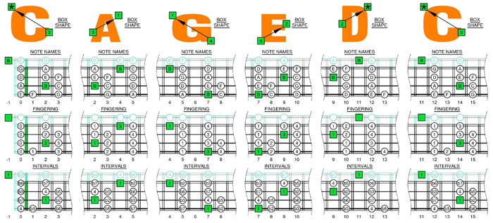 CAGED4BASS B locrian mode box shapes