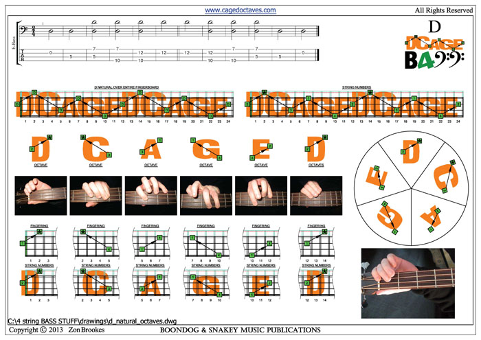 DCAGE4BASS D natural octaves pdf