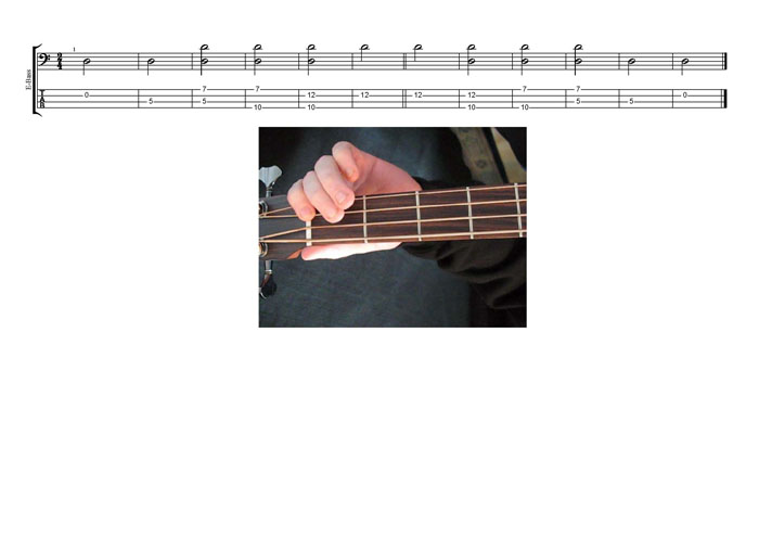 DCAGE4BASS D natural octaves TAB pdf