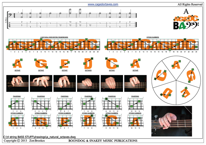 AGEDC4BASS A natural octaves pdf