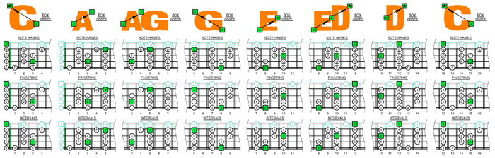 CAGED4BASS C major scale 3nps box shapes