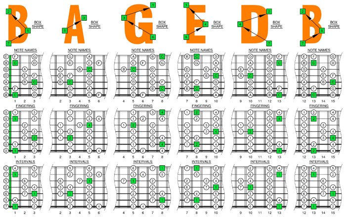 BAGED octaves C major scale box shapes