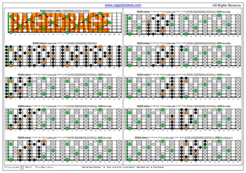 BAGED octaves C major scale 3nps box shapes : fretboard intervals