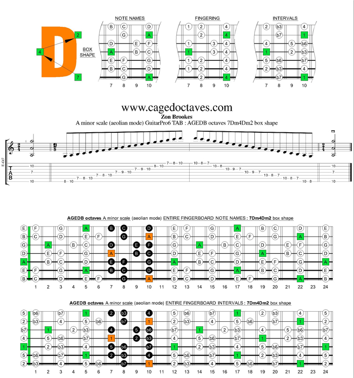 AGEDB octaves A minor scale : 7Dm4Dm2 box shape