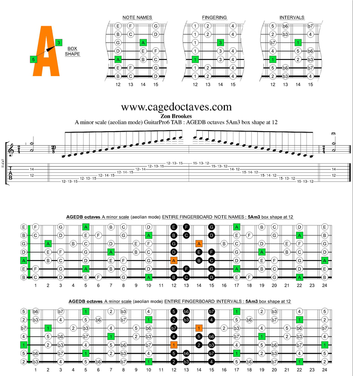 AGEDB octaves A minor scale : 5Am3 box shape at 12