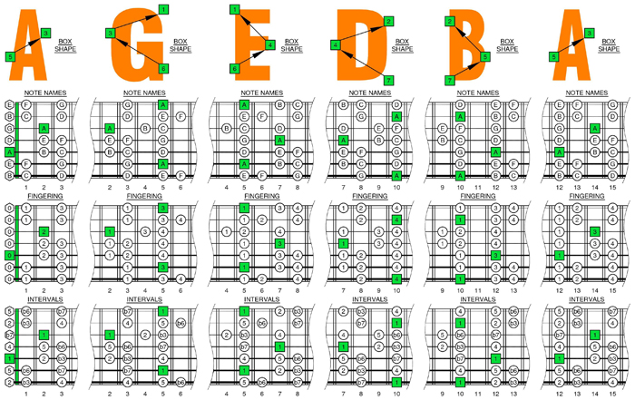 AGEDB octaves A minor scale box shapes