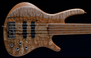 Roscoe Century standard 5 lined fretless