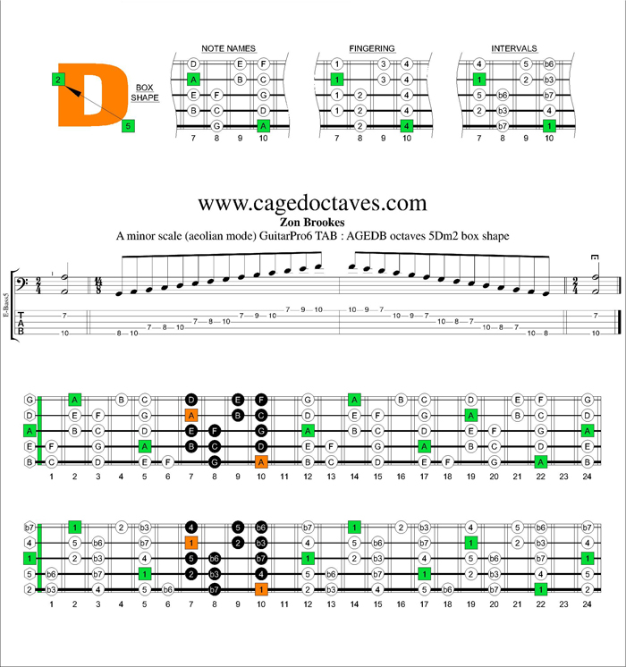 AGEDB octaves A minor scale : 5Dm2 box shape