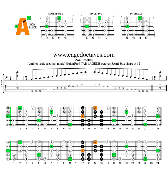 AGEDB octaves A minor scale : 3Am1 box shape at 12