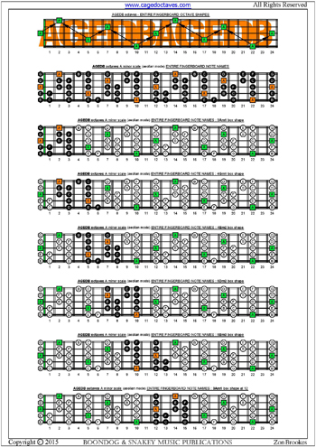 AGEDB octaves A minor scale box shapes : entire fretboard notes