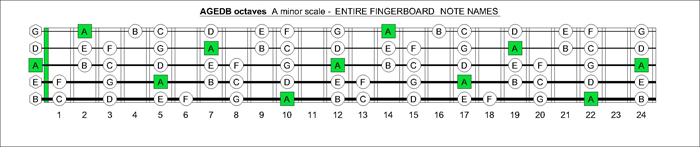 AGEDB octaves fingerboard A minor scale note names