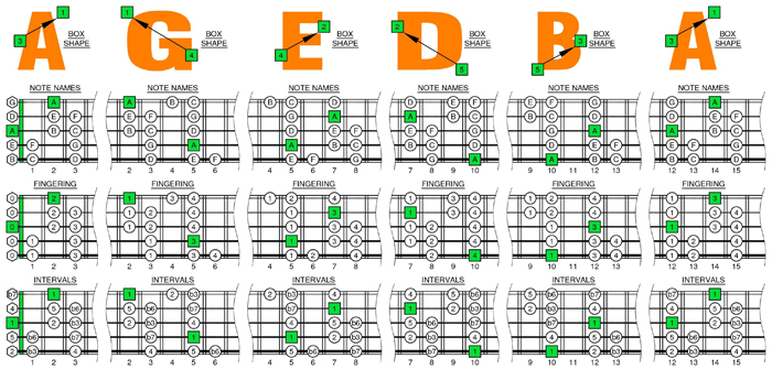 AGEDB octaves A minor scale box shapes