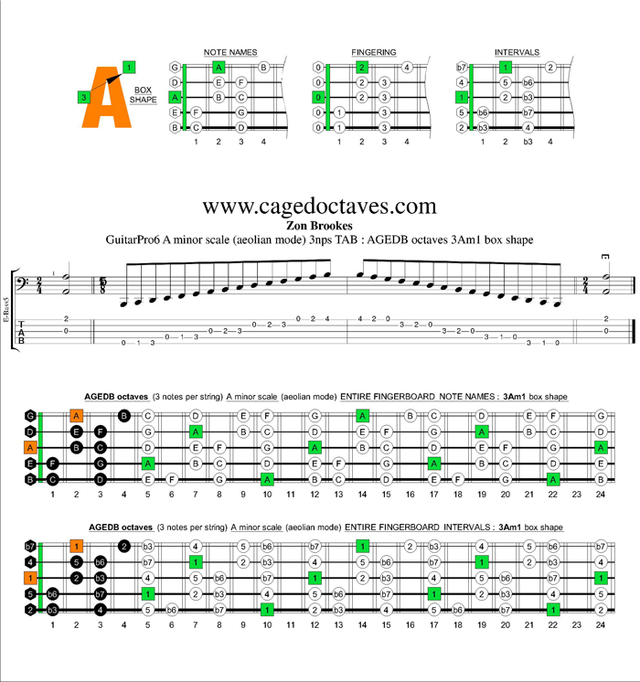 AGEDB octaves A minor scale 3nps : 3Am1 box shape