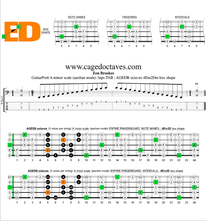 AGEDB octaves A minor scale 3nps : 4Em2Dm box shape