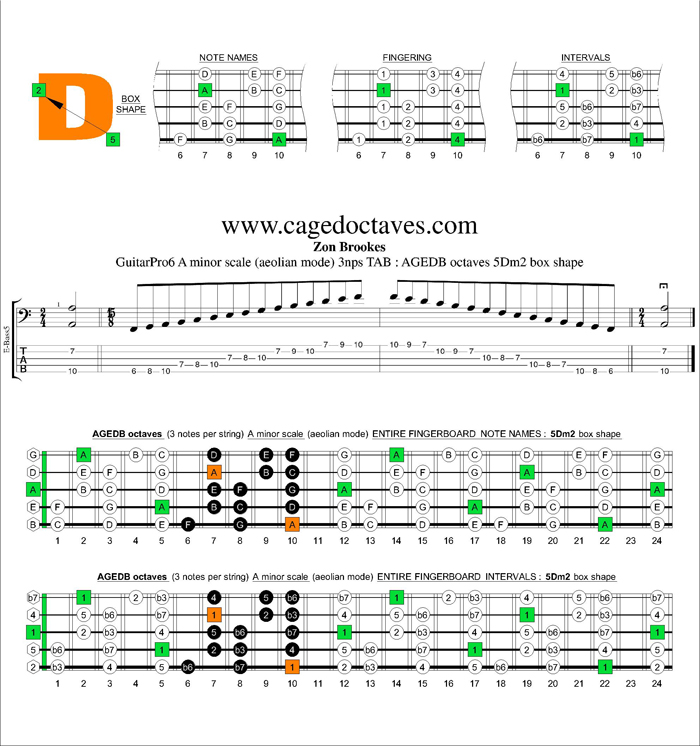 AGEDB octaves A minor scale 3nps : 5Dm2 box shape