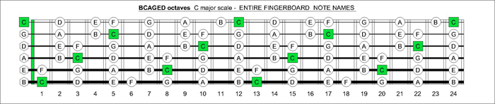 5 String Bass Scale Wall Chart