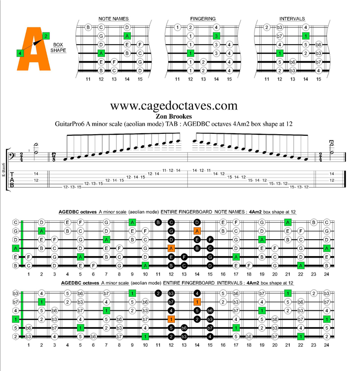 AGEDBC octaves A minor scale : 4Am2 box shape at 12