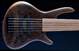 Roscoe CS6+ fretless