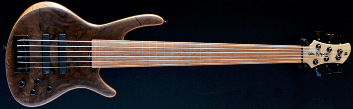 Roscoe CS6+ fretless