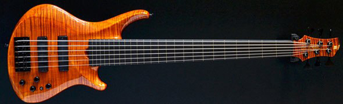 Roscoe SKB3006 fretless