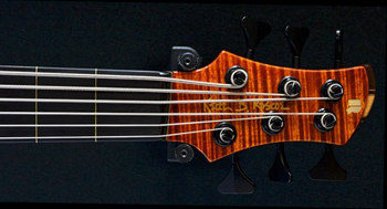 Roscoe SKB3006 fretless