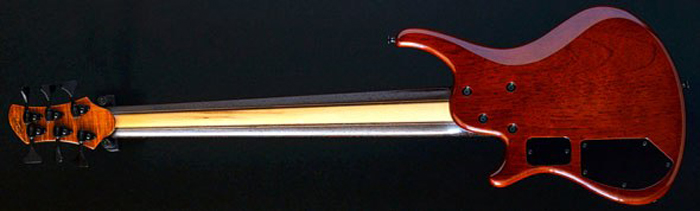 Roscoe SKB3006 fretless